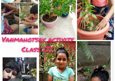 Collage1- Class 3-5 Van Mahotsaav Activity