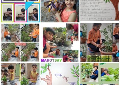 Collage4- Class 3-5 Van Mahotsaav Activity